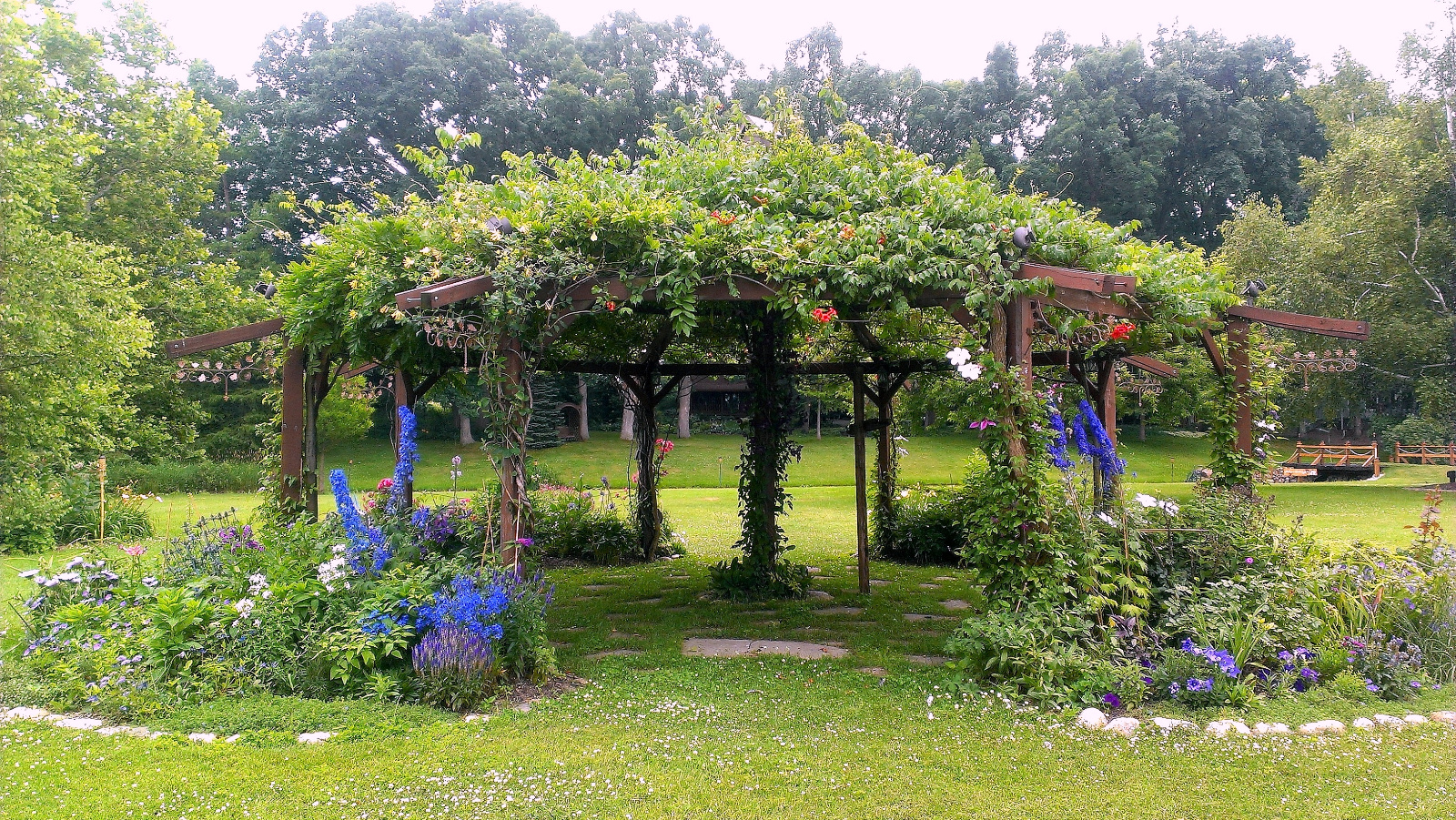 Flowering Gazebo canopy is blooming with Trumpet Vine; flowerbeds are filled with Geranium, Ballon Flower, Petunia, Roses, Clematis, Veronica and Stokes Daisy
